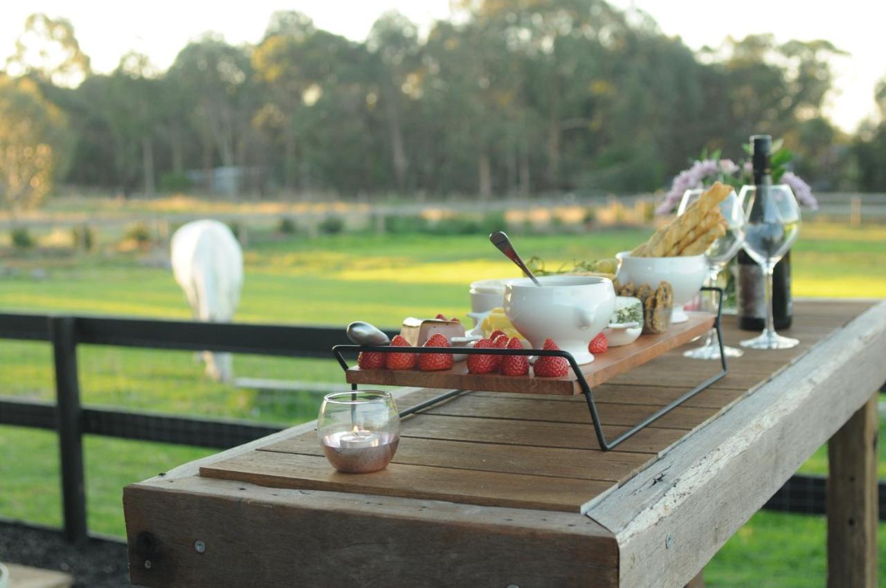 Bed and Breakfast Wagtail Nest Country Retreat - Longford Vic 3851 Sale Exteriér fotografie